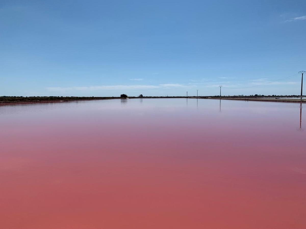 Cabane Maia Aigues Mortes Kültér fotó